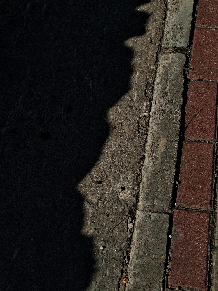 GIF subido por Oliver