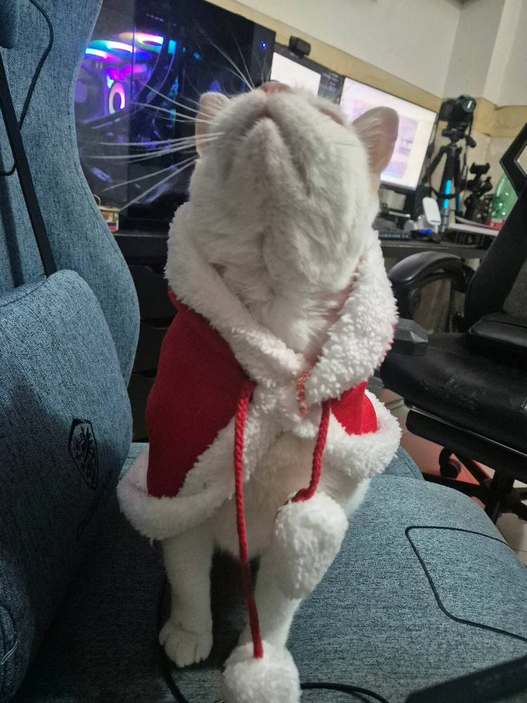 Immagine caricata da Valerio