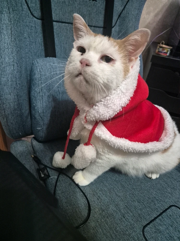 Immagine caricata da Valerio