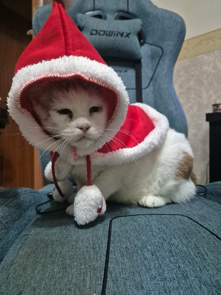 Immagine caricata da Valerio