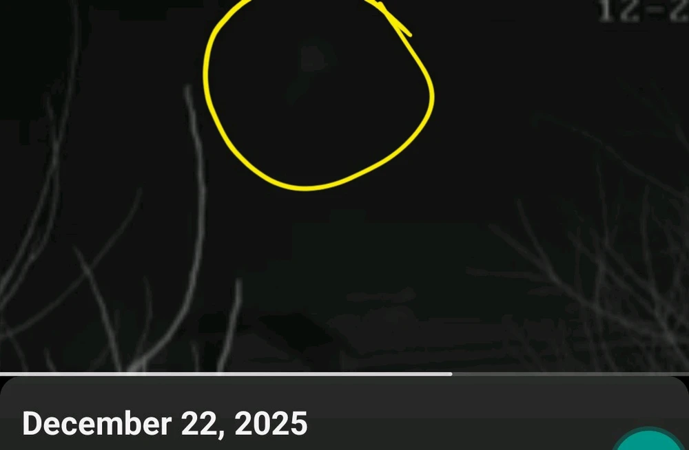 Image uploaded by Ever B