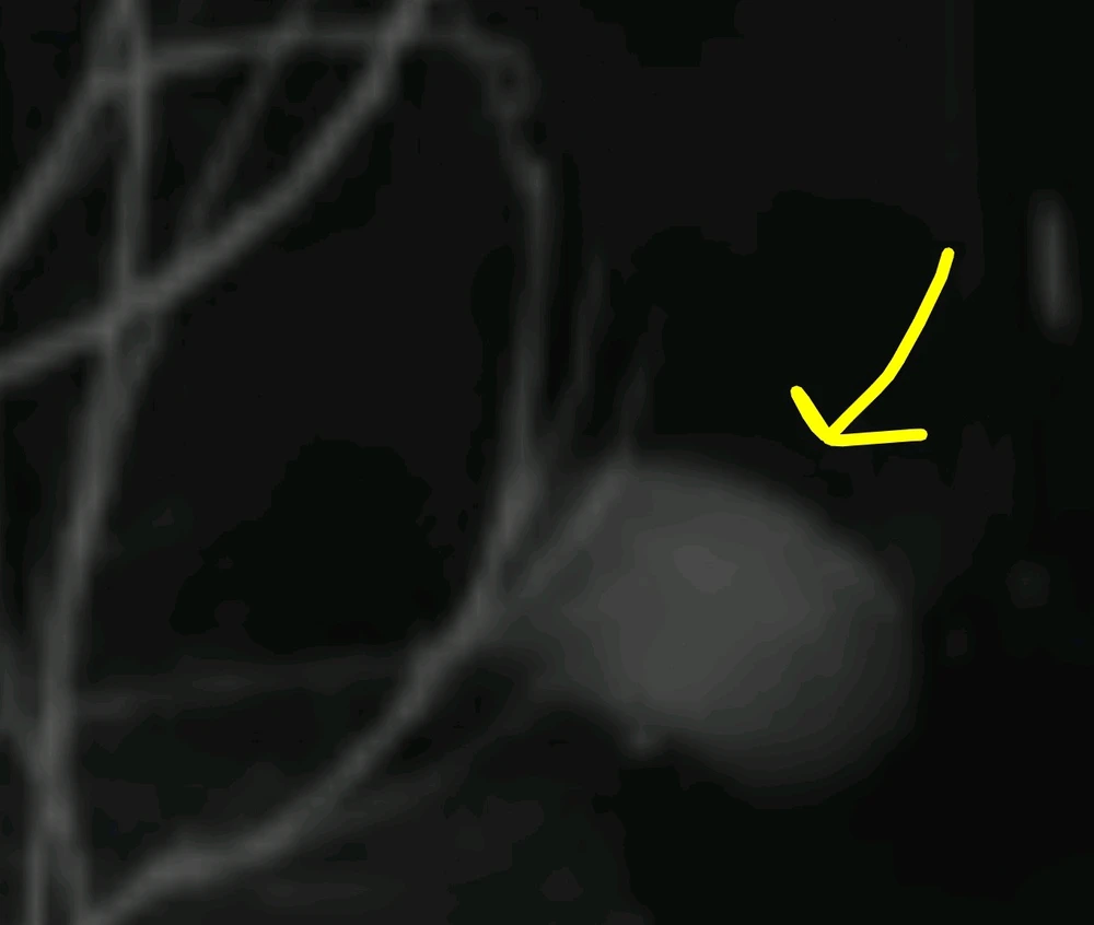 Image uploaded by Ever B