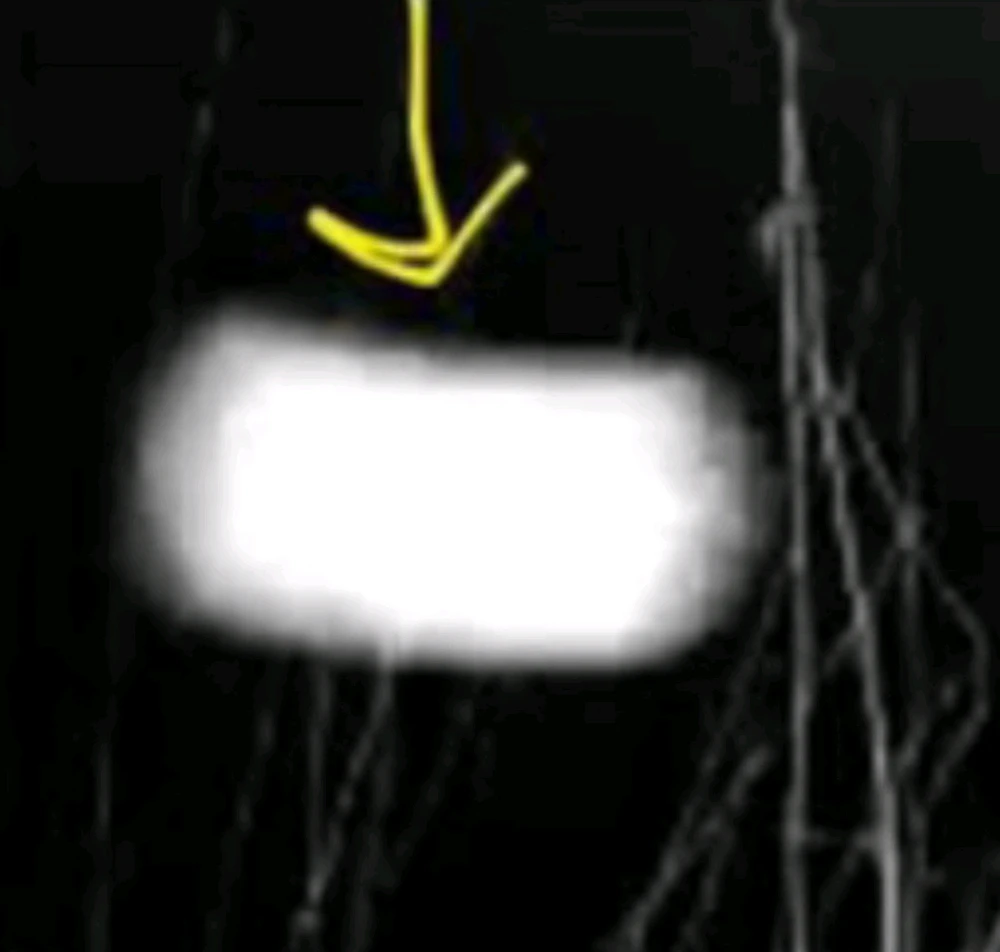 Image uploaded by Ever B