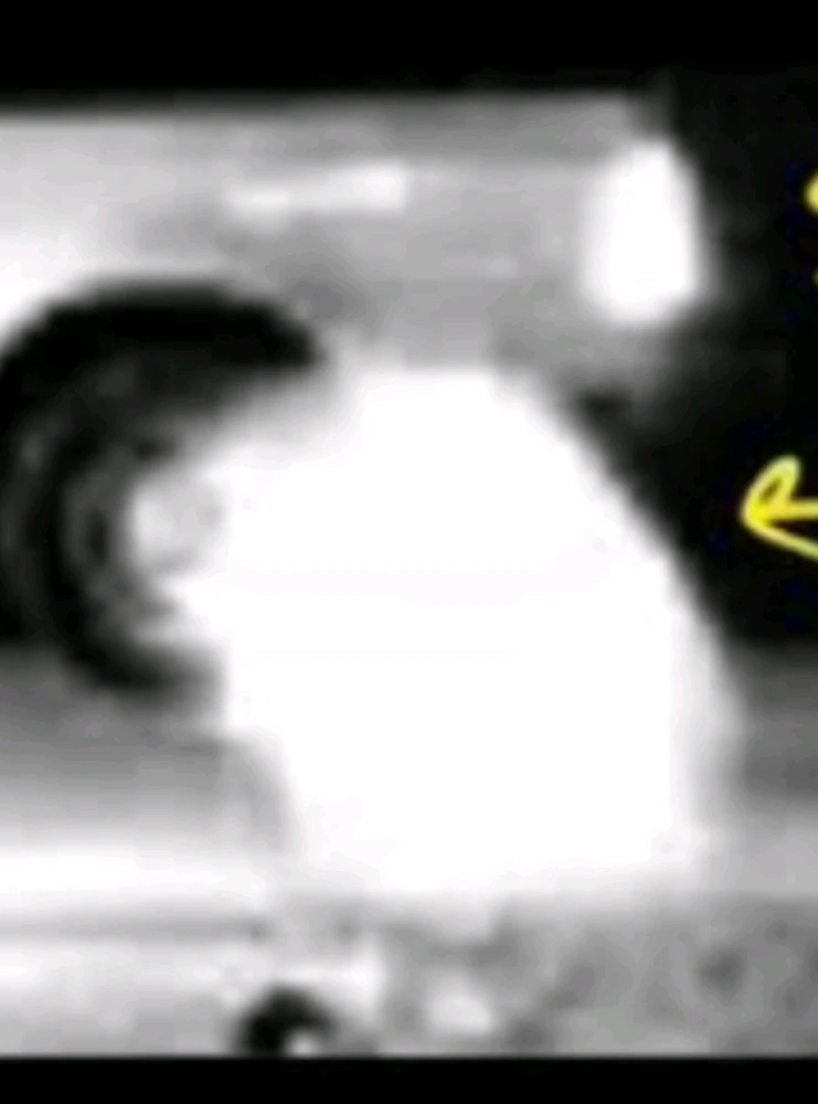 Image uploaded by Ever B