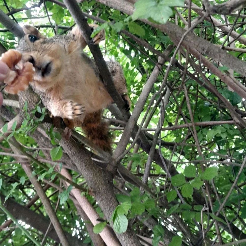 GIF uploaded by William