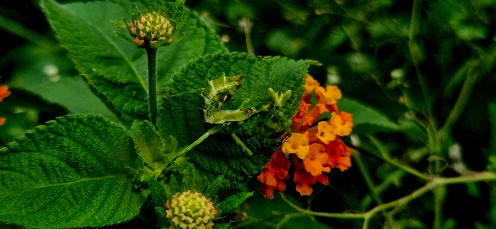 GIF uploaded by Om Tyagi