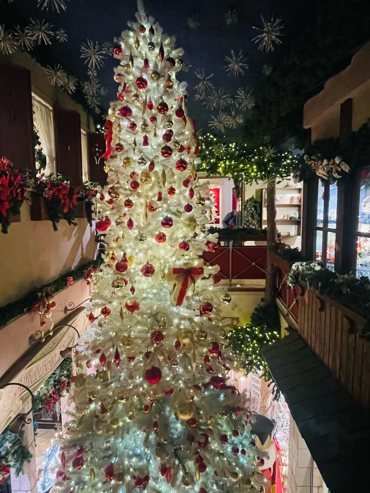 Bild hochgeladen von Jasmin