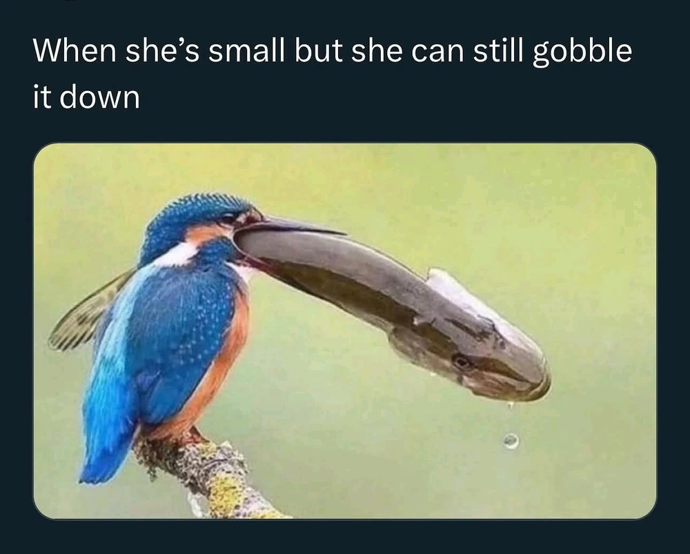 GIF uploaded by friday