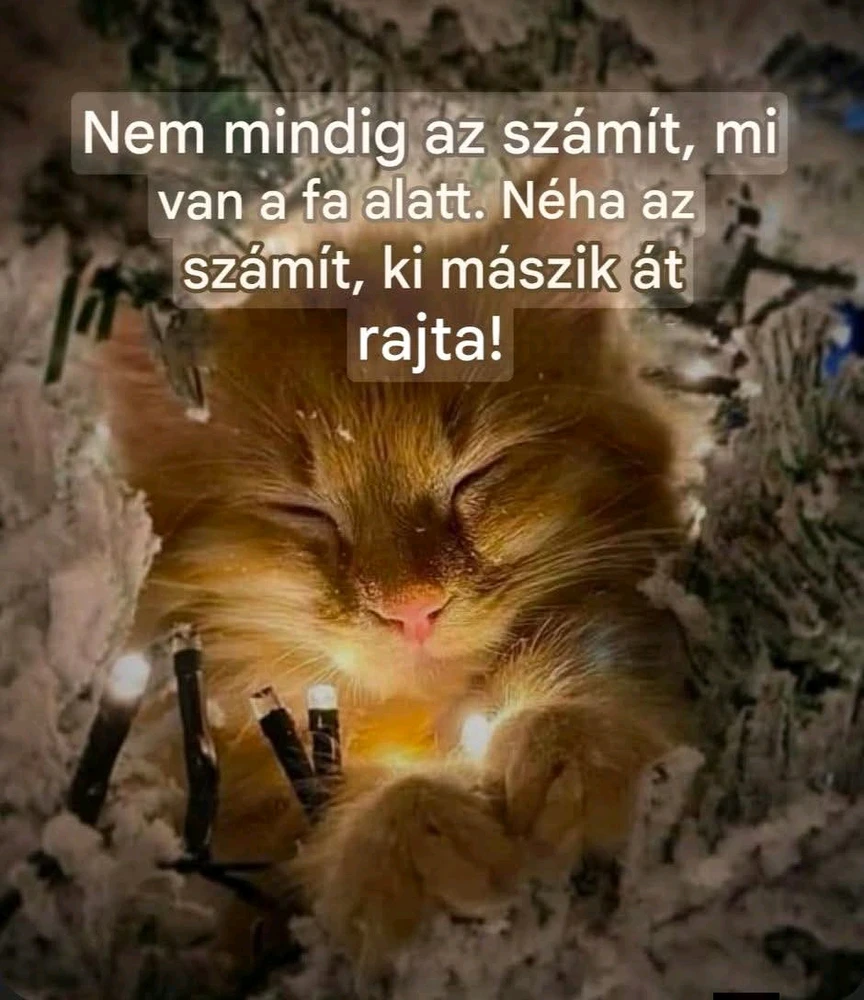 maryblue81 által feltöltött GIF