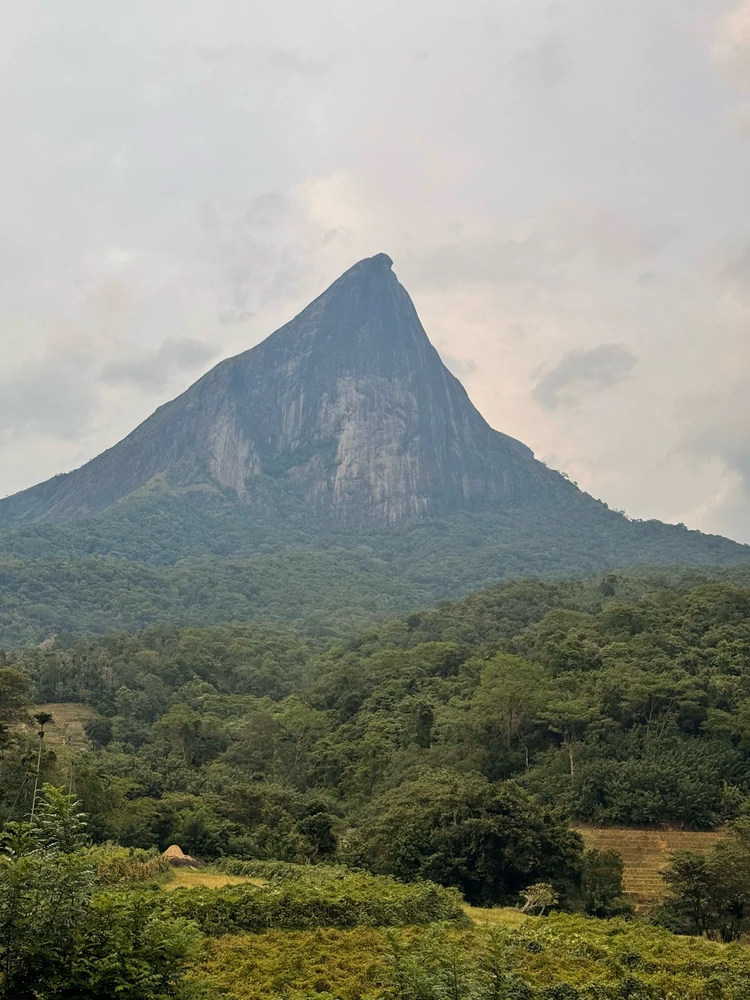 Image uploaded by Poornika Sandakalum