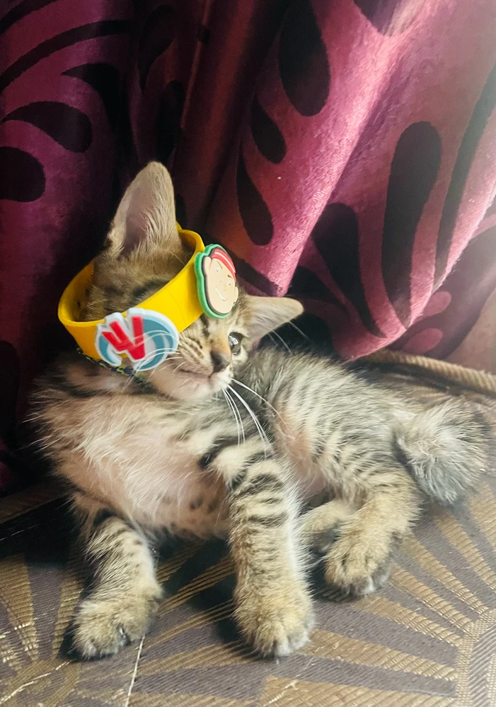 GIF diunggah dening Adis