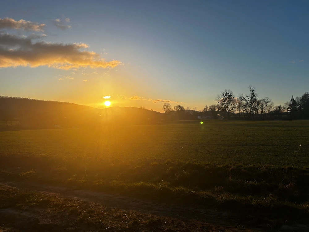 GIF hochgeladen von Mila