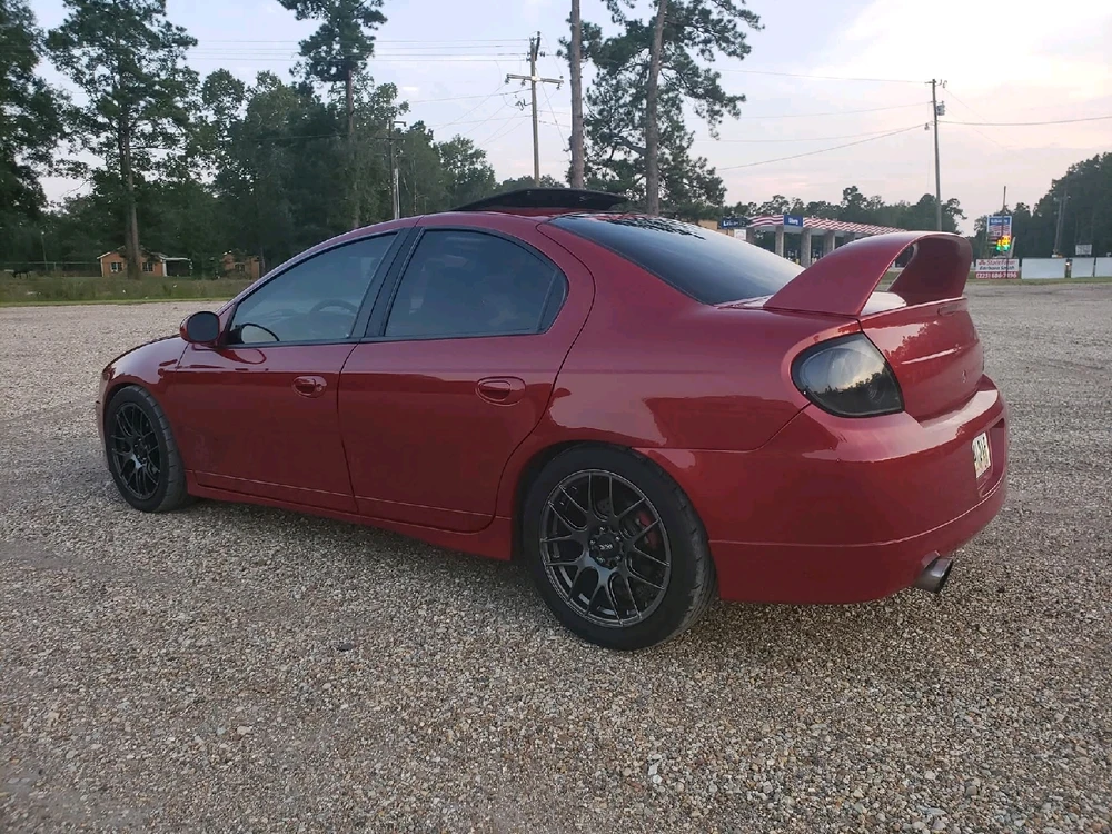 Image uploaded by Michael