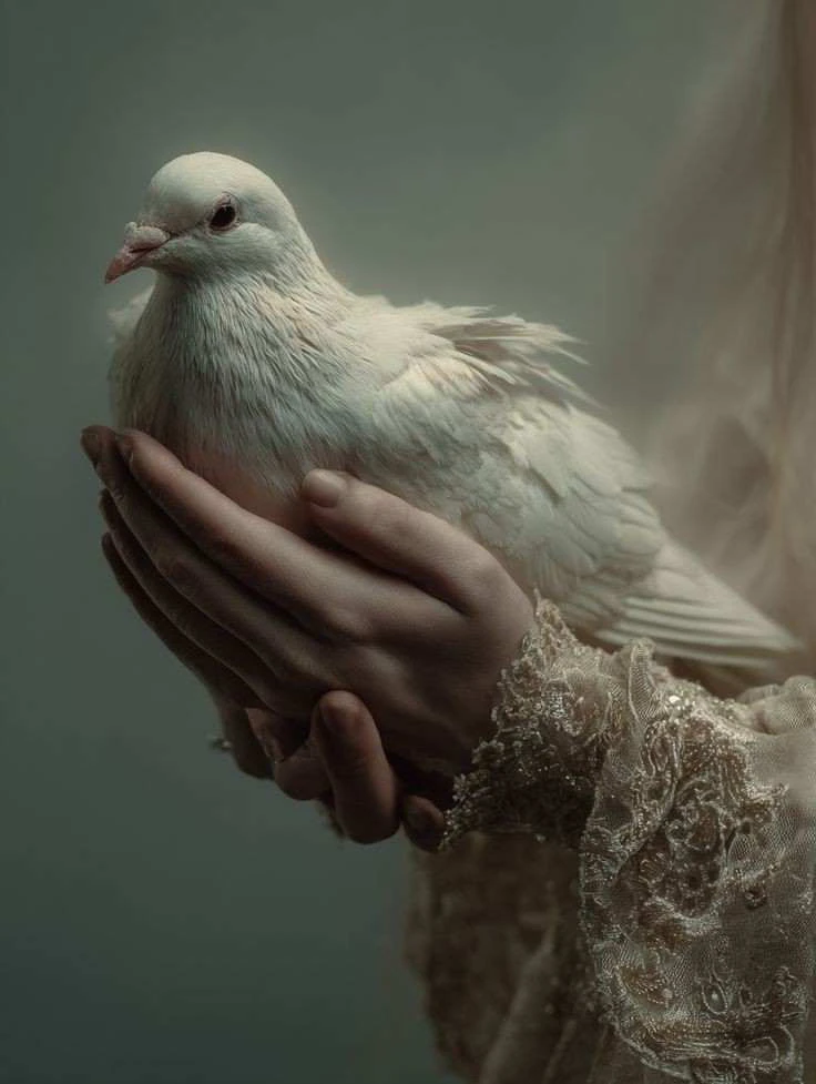 GIF آپلود شده توسط Mohammad Reza