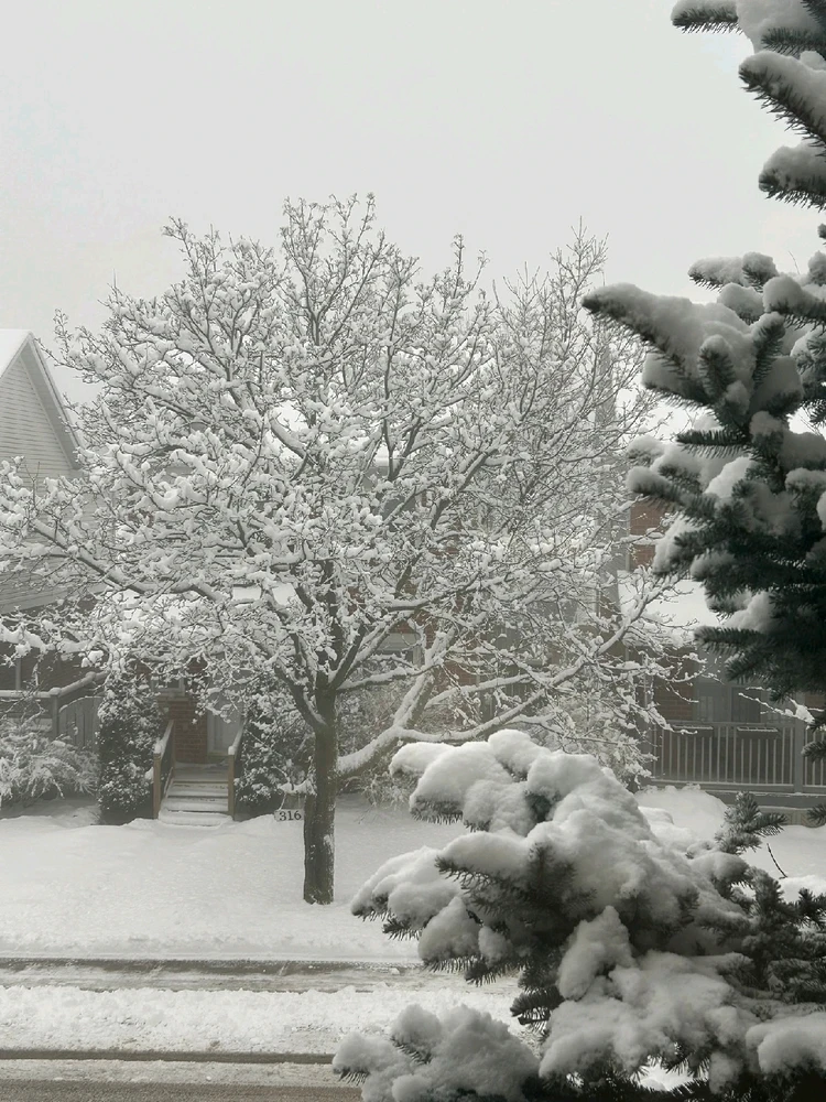 GIF uploaded by Bella