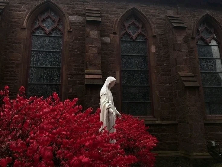 GIF caricata da Giuseppe