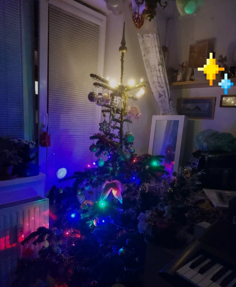 GIF nahrál Táňa