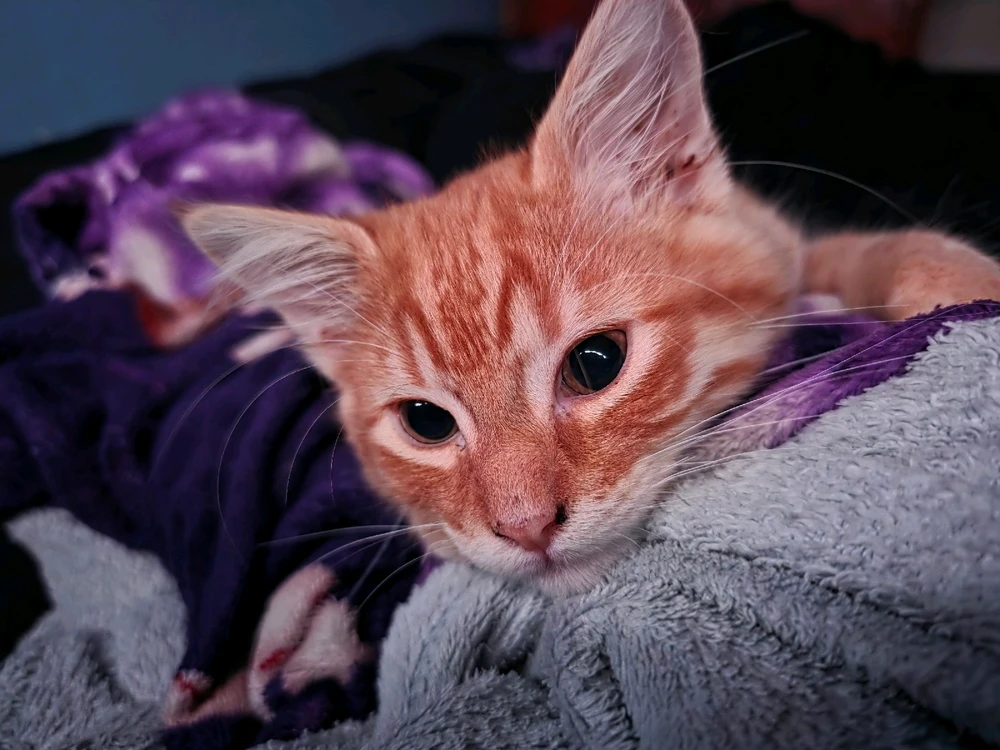 WilsonがアップロードしたGIF