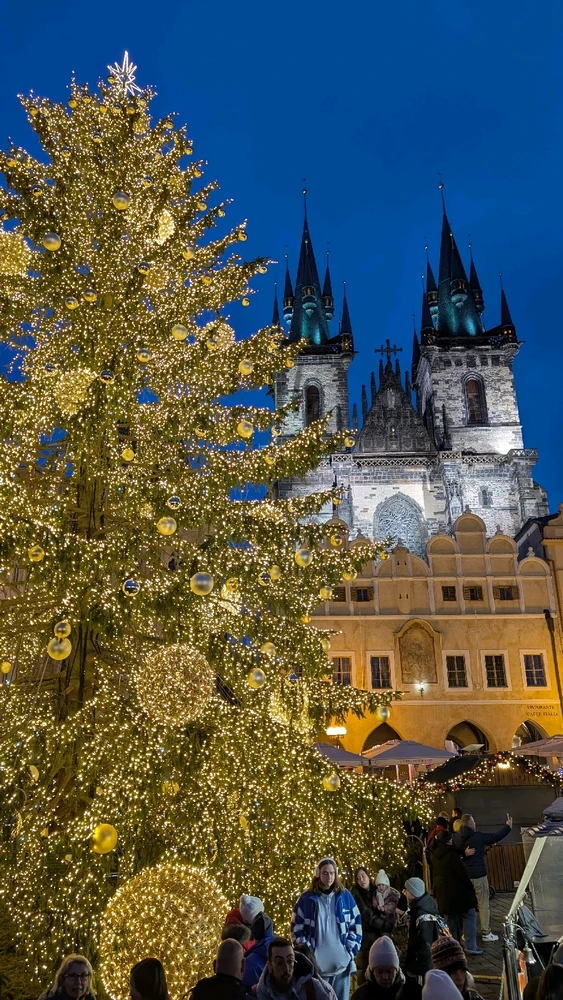 Зображення завантажив Богдан