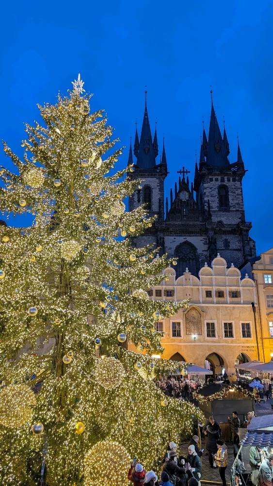 Зображення завантажив Богдан