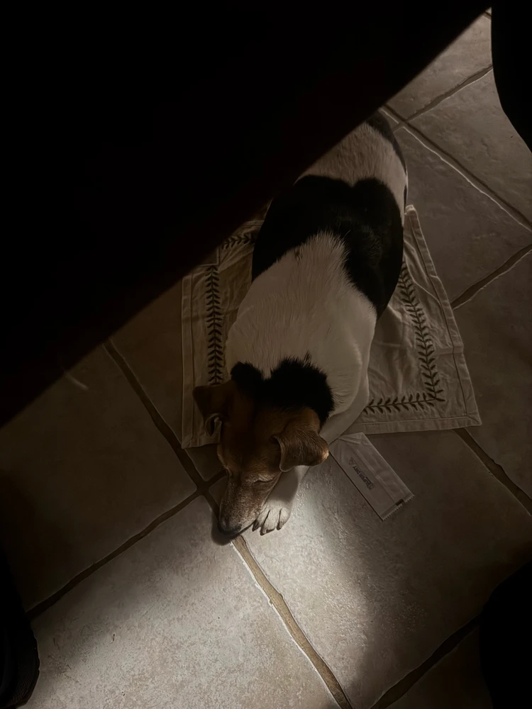 Obrázek nahrál Soni