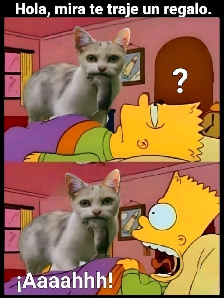 GIF subido por Jorge