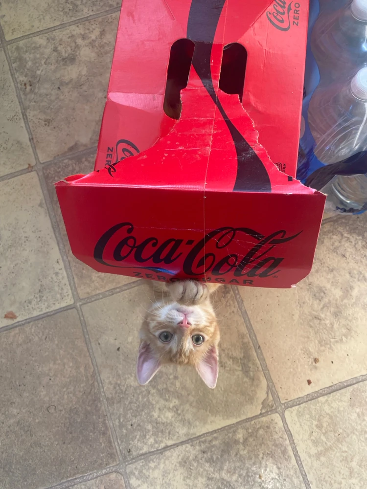 GIF uploaded by Barry