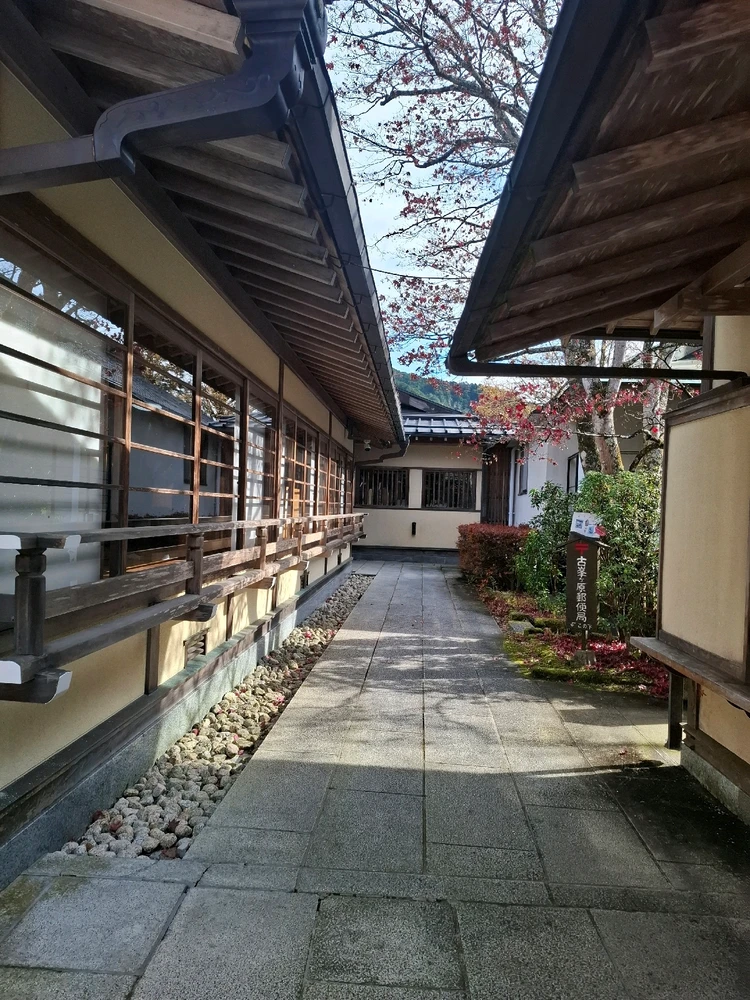 Zdjęcie dodane przez Weronika