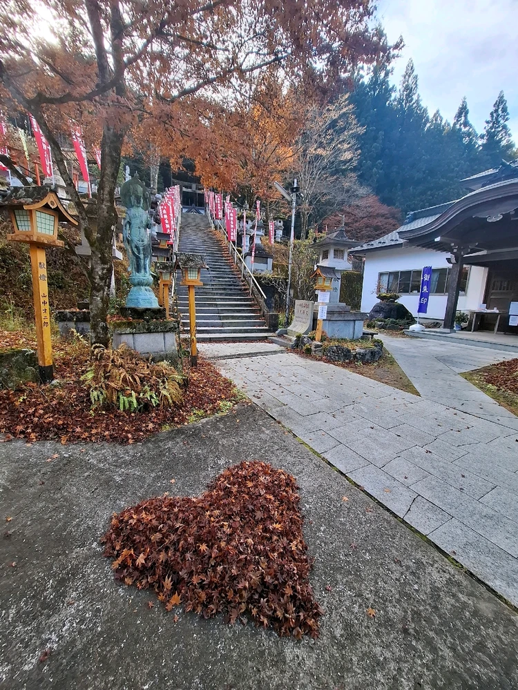 Zdjęcie dodane przez Weronika