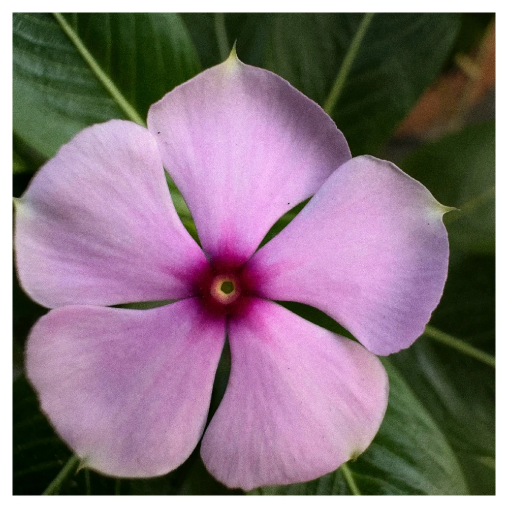 GIF subido por Blanca