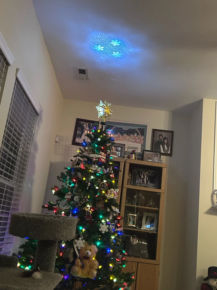 Gambar diunggah dening Jake