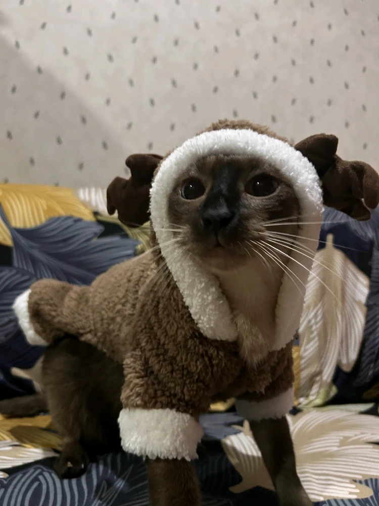 GIF uploaded by 杰之