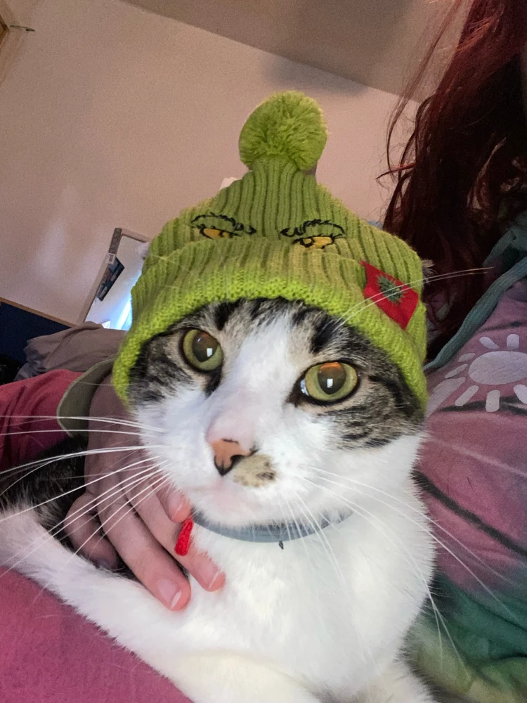 Can’t believe my lil dude is turning 4 soon has him since he was 7 weeks old. 😭😭