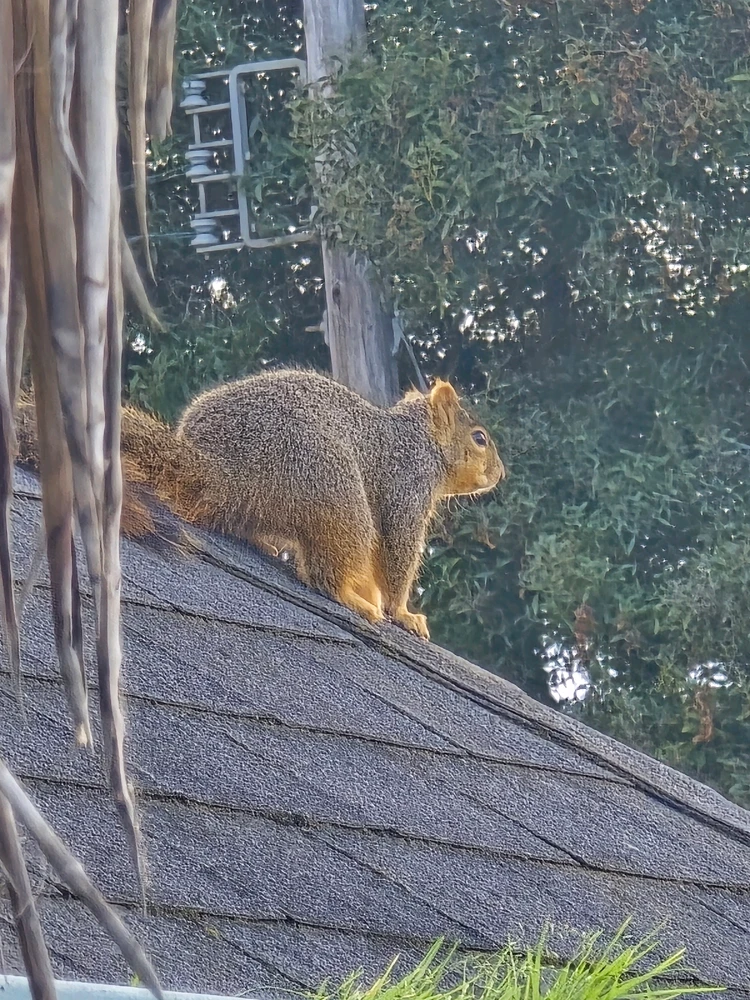 GIF uploaded by William