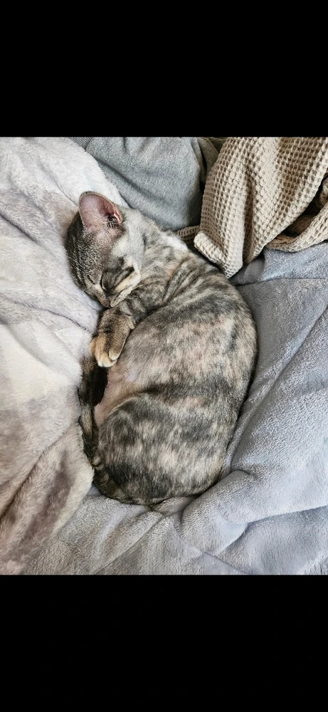 Hansung님이 올린 사진