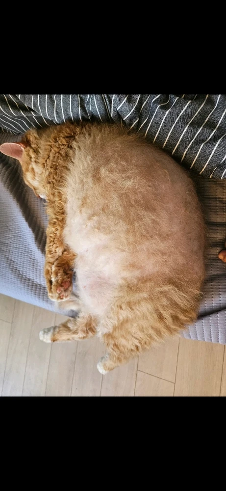 Hansung님이 올린 사진