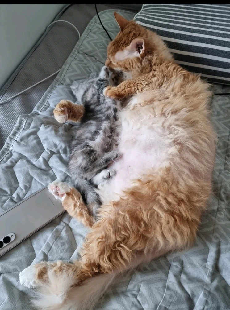 Hansung님이 올린 사진