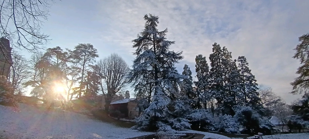 Image ajoutée par Saffiya