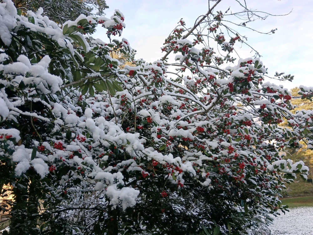 Image ajoutée par Saffiya