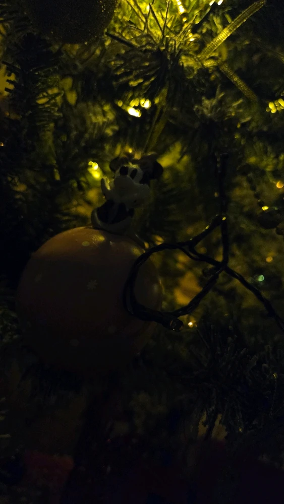 Image uploaded by Cee