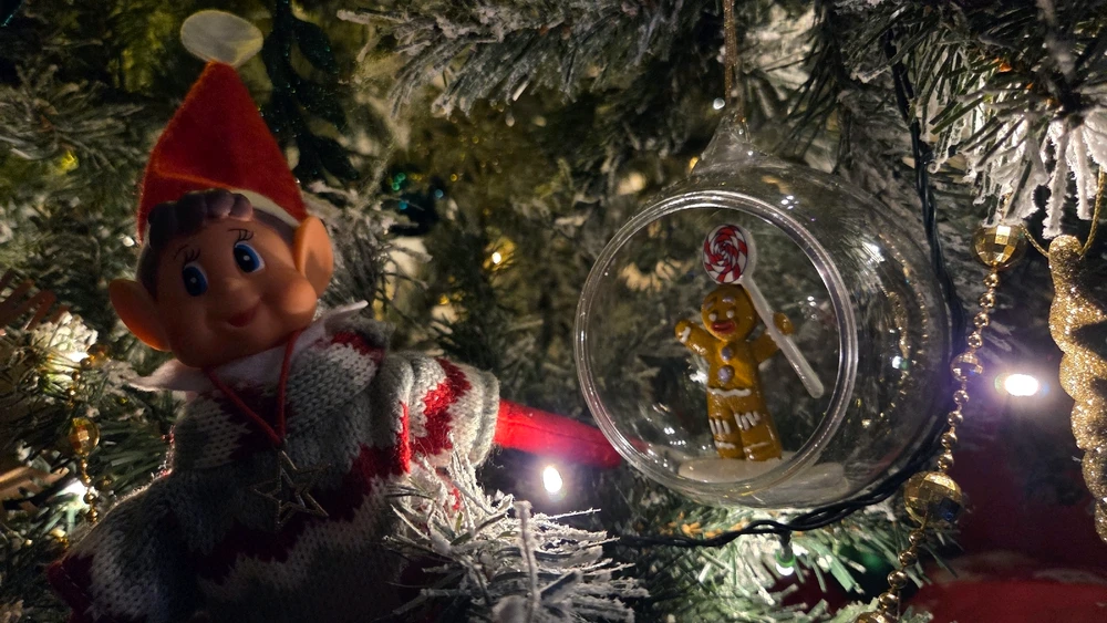 Image uploaded by Cee