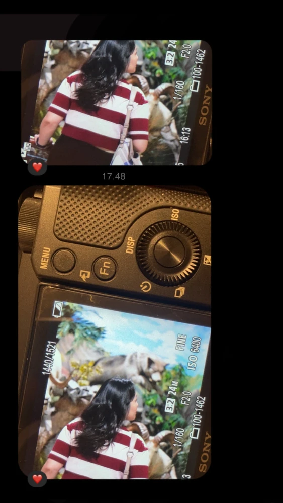 GIF diunggah oleh Luli