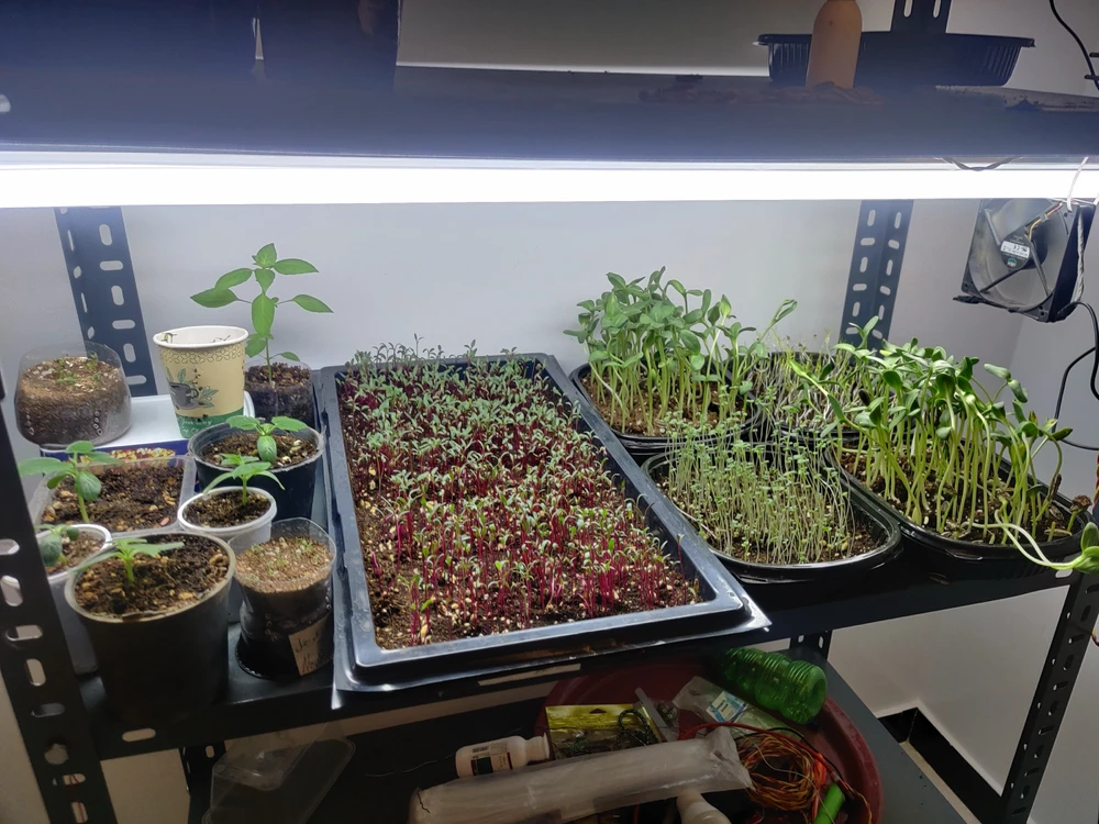 Gambar diunggah dening Abdelrahman