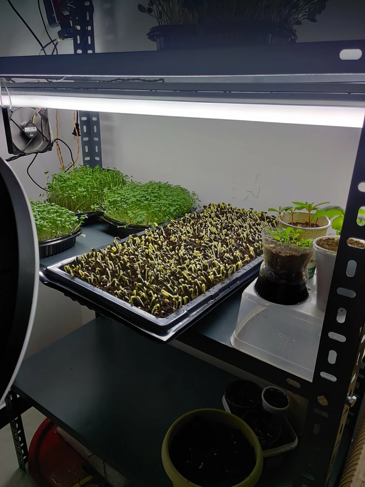 Gambar diunggah dening Abdelrahman