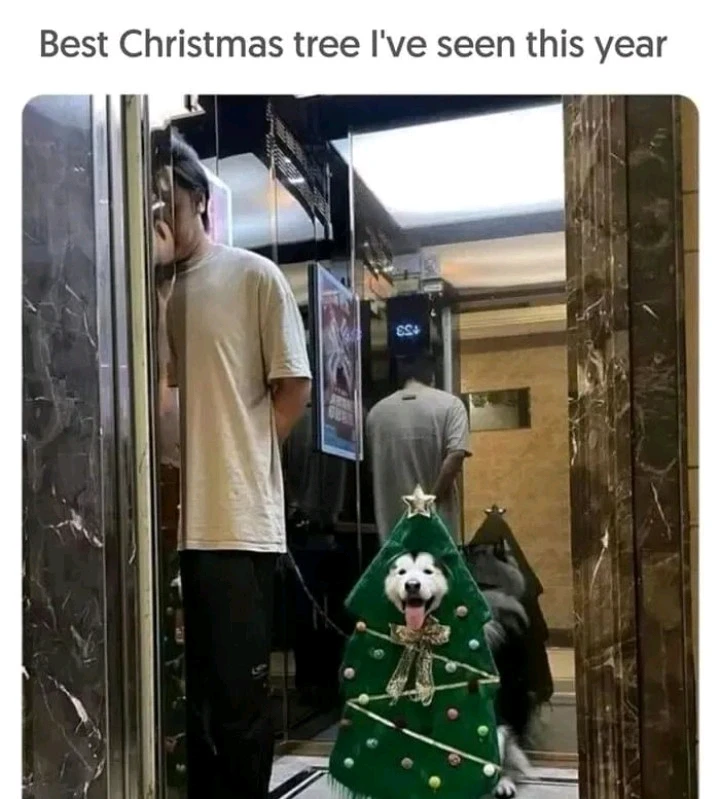 GIF uploaded by Georgina