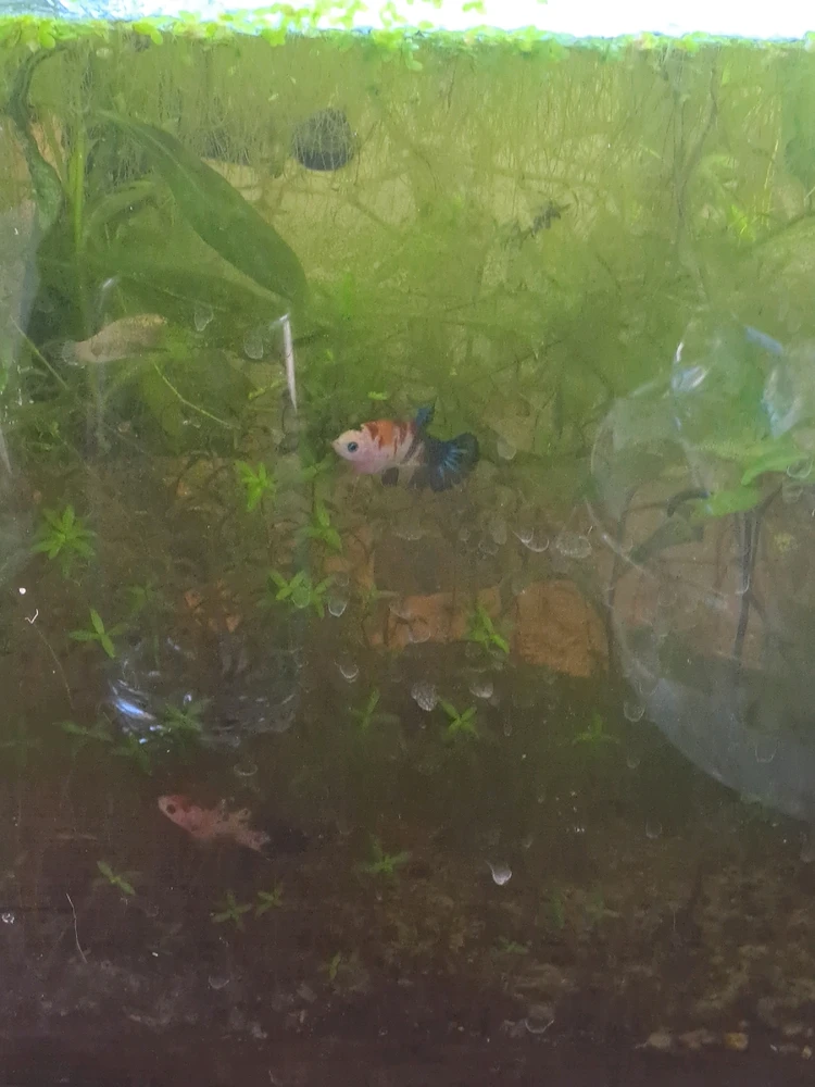 GIF uploaded by Sandz