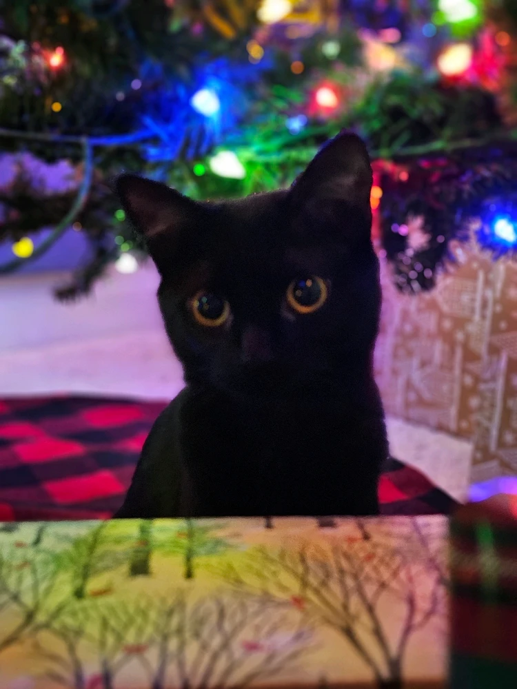 GIF uploaded by Diane