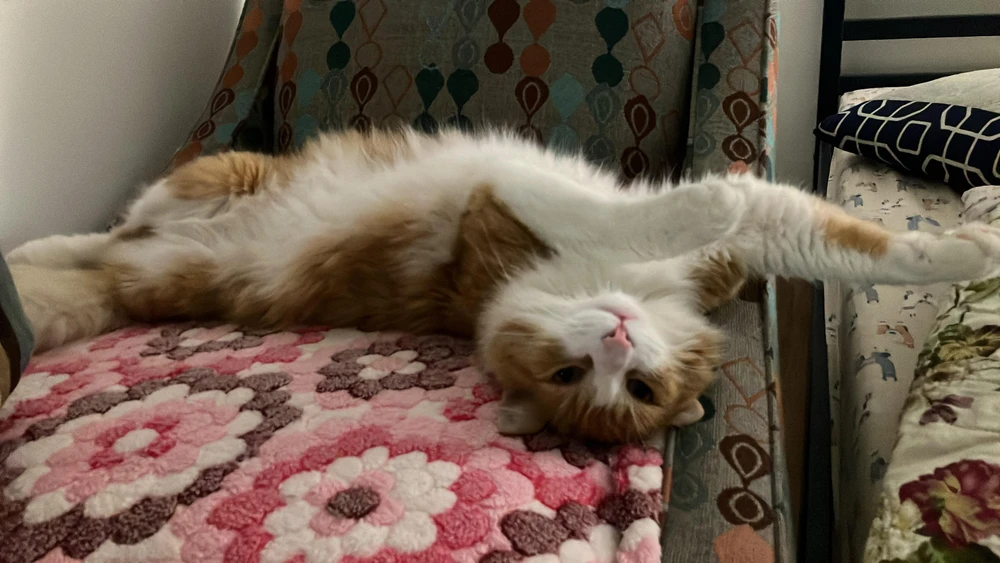 Gambar diunggah dening Lowkyiee