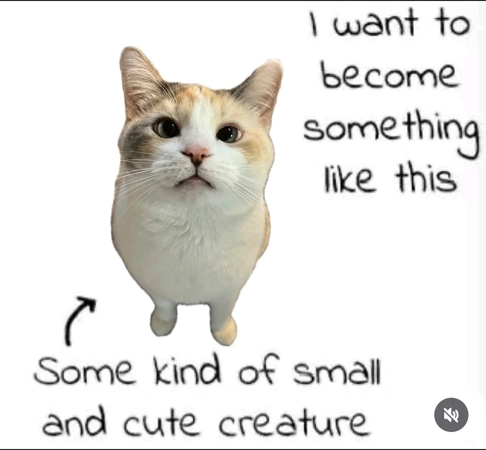 GIF hochgeladen von Kev