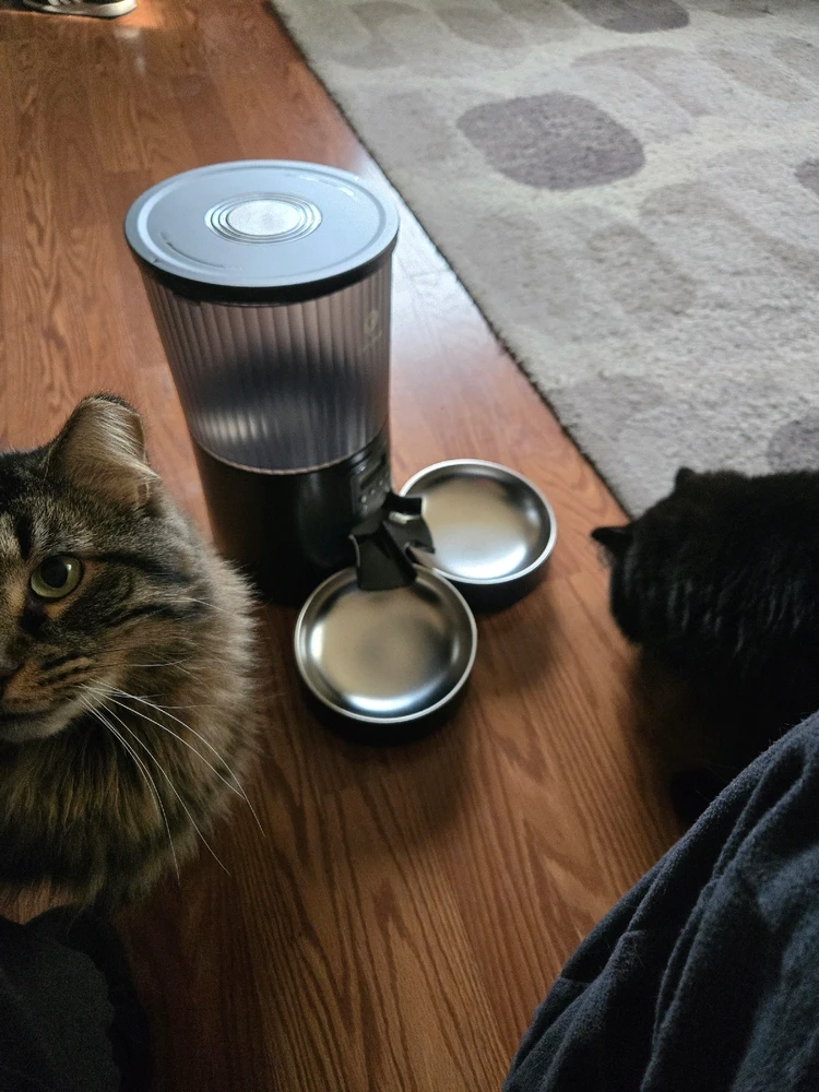 Image uploaded by Intro78